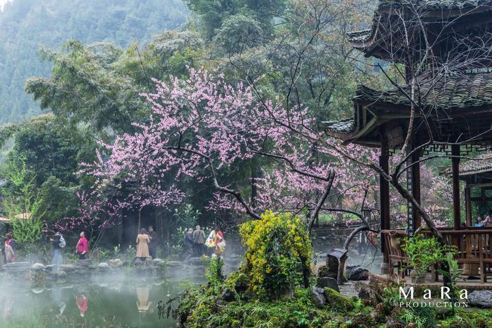 盐可不可以在微波炉里加热?